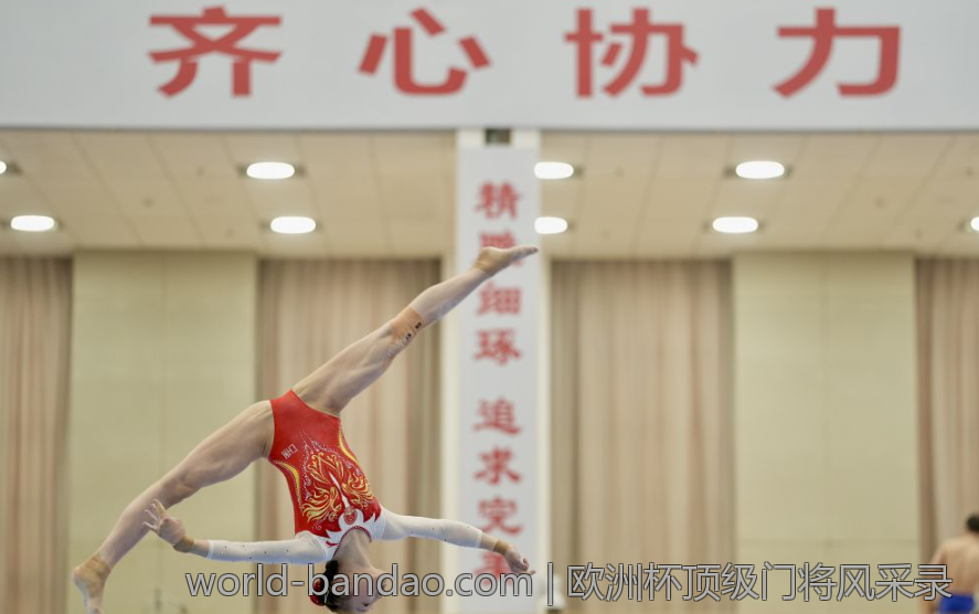 欧洲杯顶级门将风采录