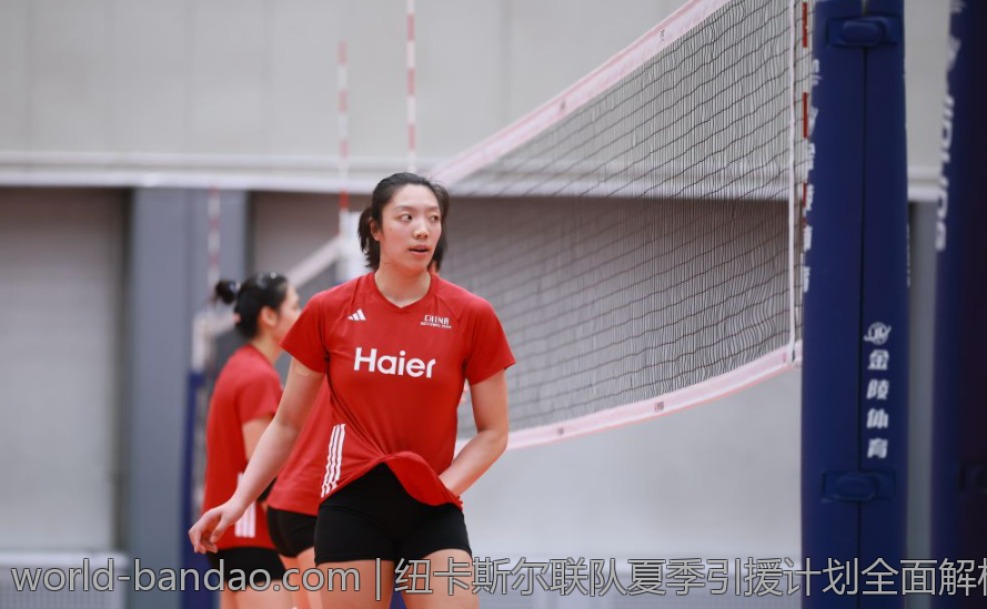 纽卡斯尔联队夏季引援计划全面解析