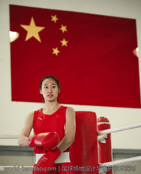 足球场地设计与维护技术探讨