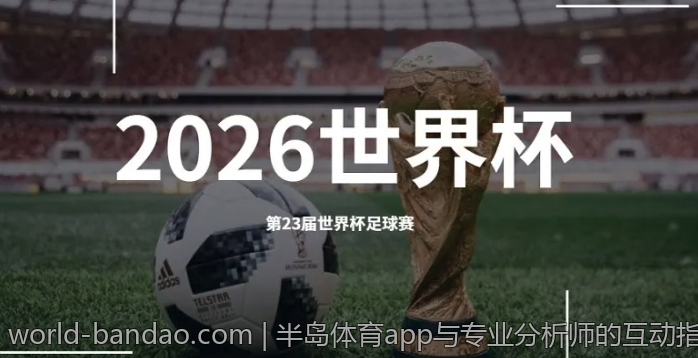 半岛体育app与专业分析师的互动指南