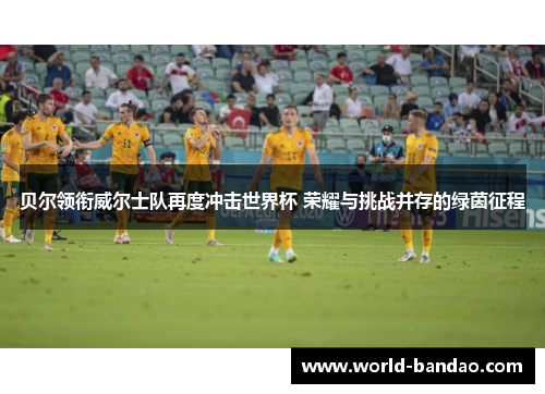 贝尔领衔威尔士队再度冲击世界杯 荣耀与挑战并存的绿茵征程