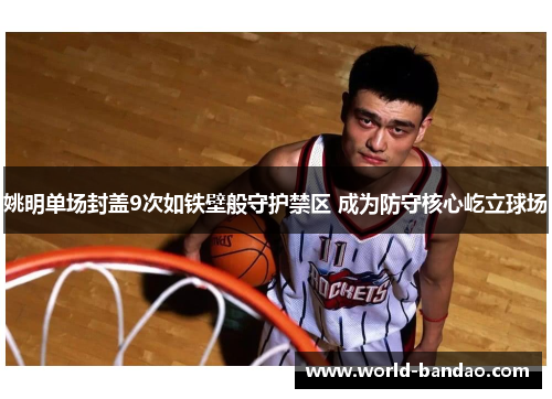 姚明单场封盖9次如铁壁般守护禁区 成为防守核心屹立球场