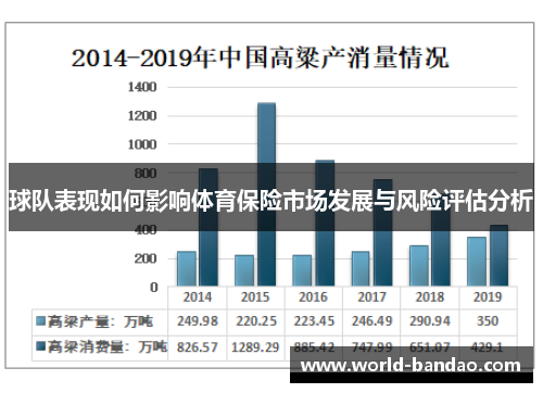 球队表现如何影响体育保险市场发展与风险评估分析