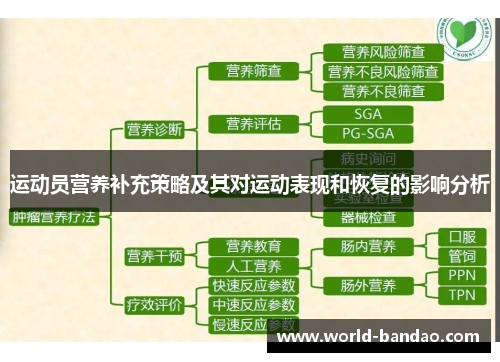 运动员营养补充策略及其对运动表现和恢复的影响分析