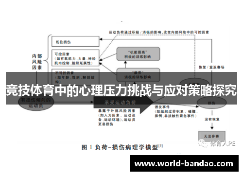 竞技体育中的心理压力挑战与应对策略探究