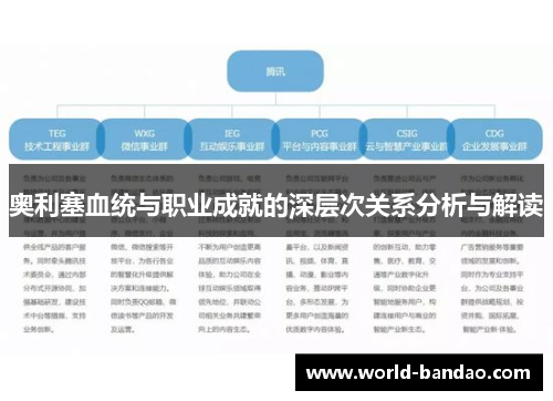 奥利塞血统与职业成就的深层次关系分析与解读