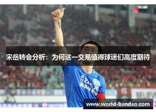 宋岳转会分析：为何这一交易值得球迷们高度期待