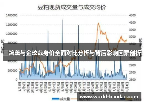 三笘薰与金玟哉身价全面对比分析与背后影响因素剖析
