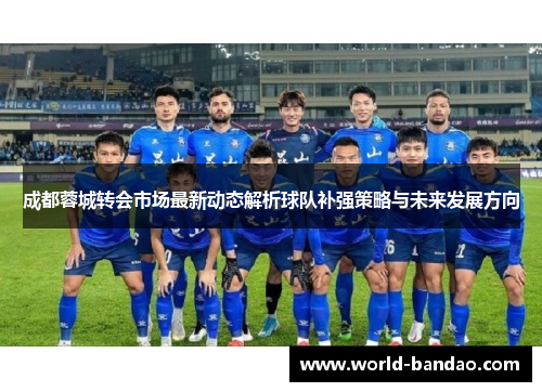 成都蓉城转会市场最新动态解析球队补强策略与未来发展方向