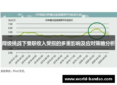 降级挑战下曼联收入受损的多重影响及应对策略分析