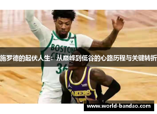 施罗德的起伏人生：从巅峰到低谷的心路历程与关键转折