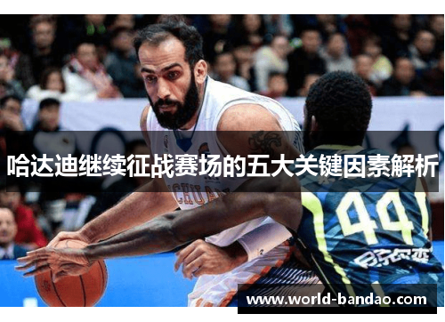 哈达迪继续征战赛场的五大关键因素解析 哈达迪继续征战赛场的五大关键因素解析